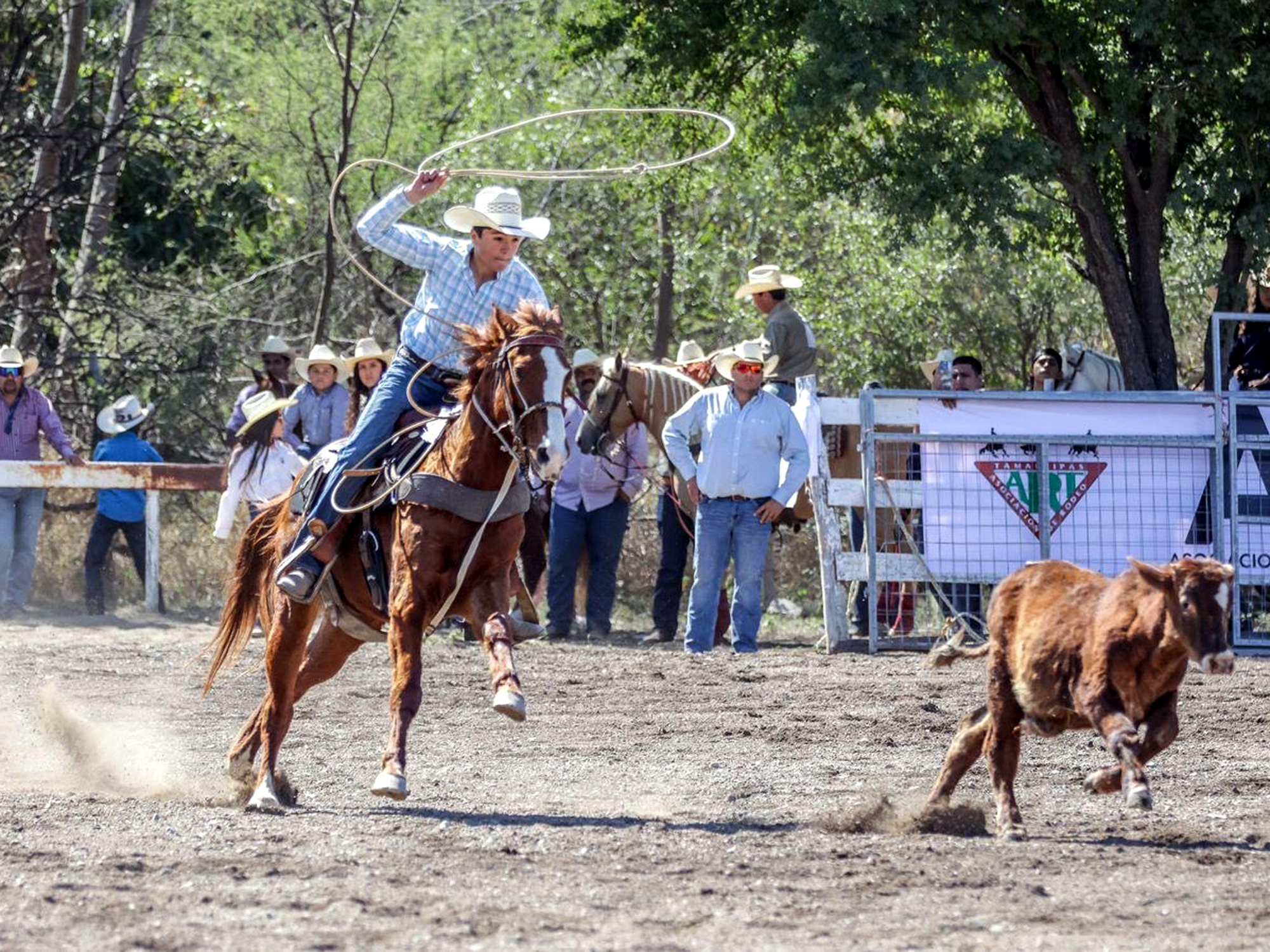 Jinetes de Nuevo Laredo entrenan rumbo al rodeo Olimpiada Nacional 2025