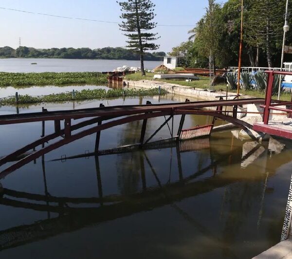 El agua no llega a lagunas del sur de Tamaulipas por el saqueo río arriba