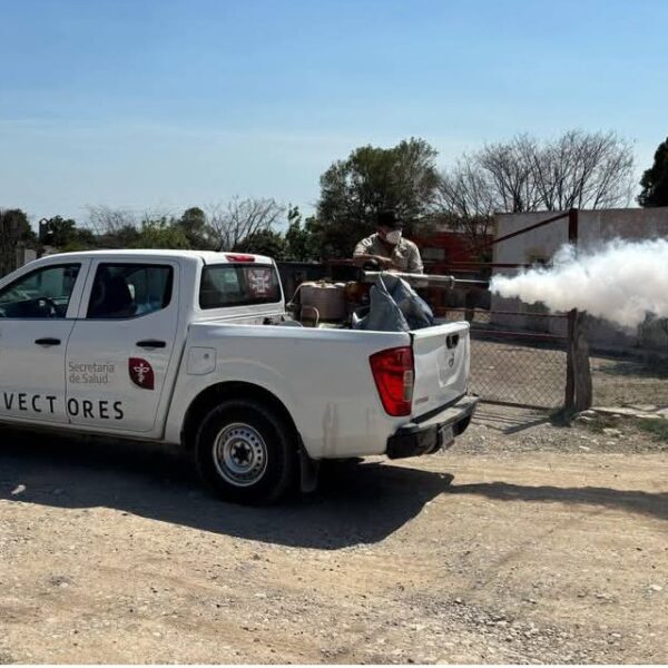 Suma Tamaulipas 273 casos de dengue; continúa Salud las acciones de fumigación