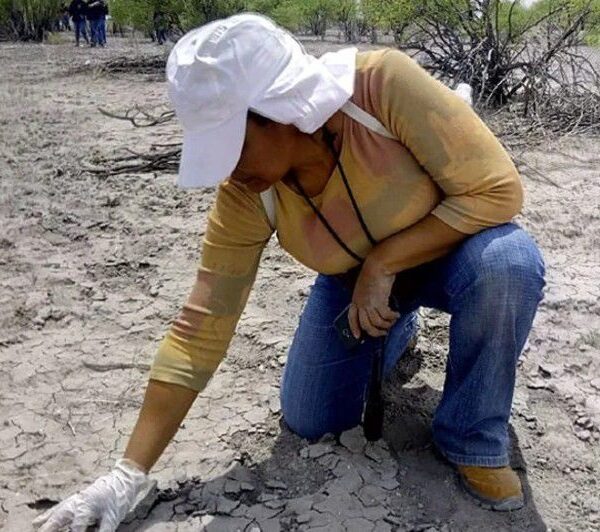 Encuentran posibles restos óseos durante jornada de búsqueda en Tamaulipas