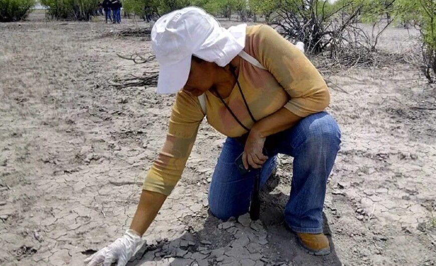 Encuentran posibles restos óseos durante jornada de búsqueda en Tamaulipas