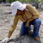 Encuentran posibles restos óseos durante jornada de búsqueda en Tamaulipas