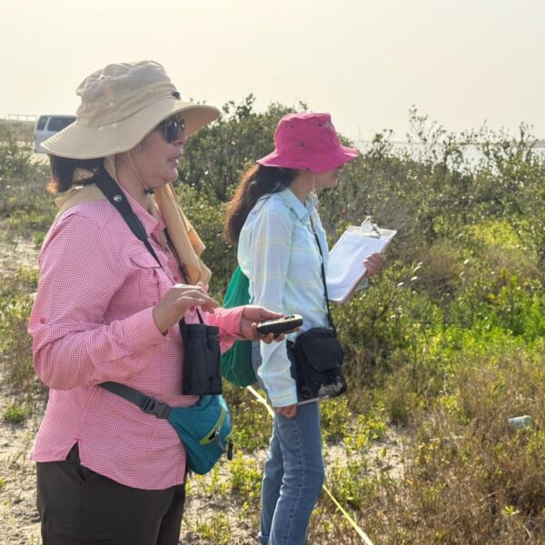 Colaboran investigadores en la conservación del mangle en el litoral tamaulipeco