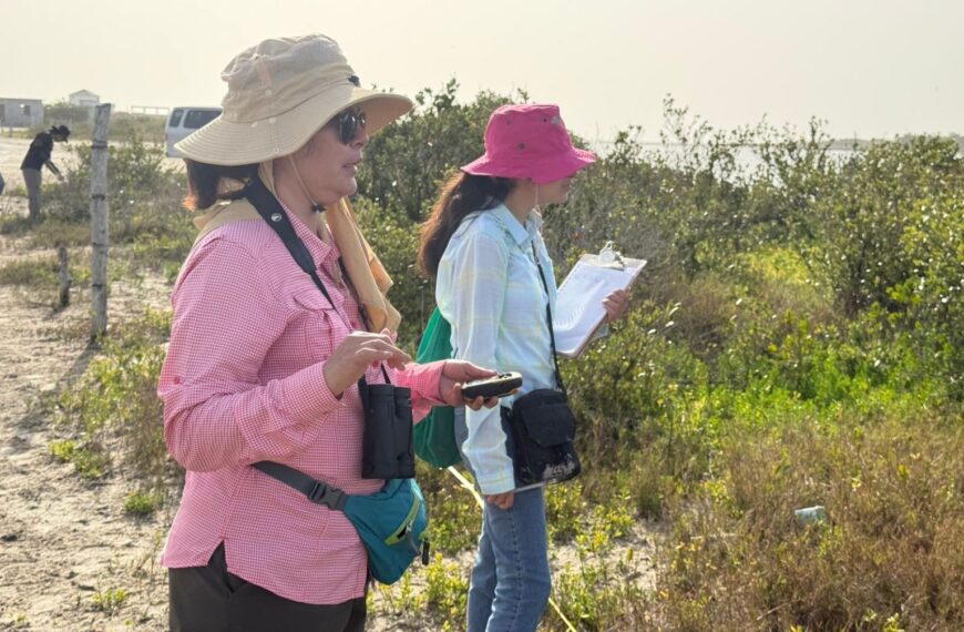 Colaboran investigadores en la conservación del mangle en…