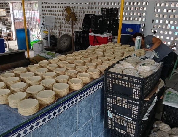 Acuerdo Nacional para bajar el precio de la…