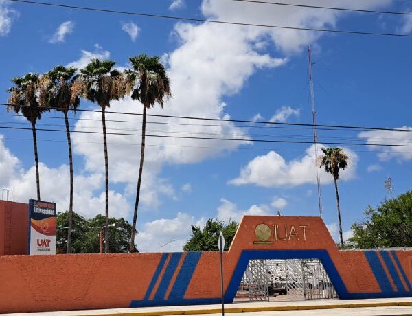 Ponen en marcha los cursos de verano en…