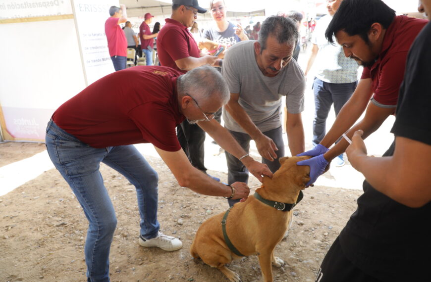Continúa municipio impulsando el bienestar animal con jornadas de esterilización y múltiples servicios