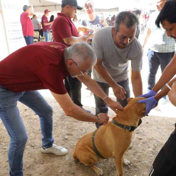 Continúa municipio impulsando el bienestar animal con jornadas…