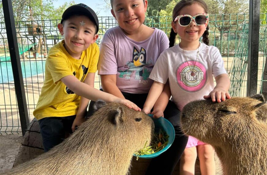 Invita gobierno municipal al Capi Camp 2025 en el Zoológico de Nuevo Laredo