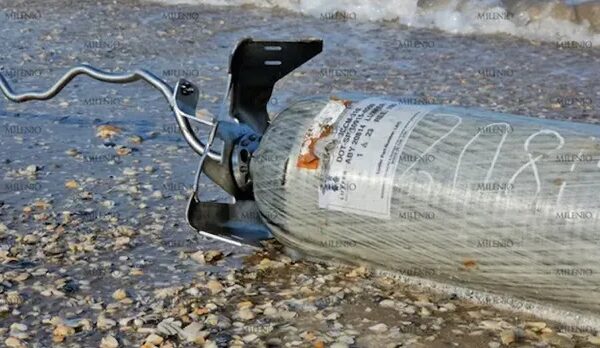 Elon Musk solo retiró el 10% de su basura espacial del Golfo de México; afectará a la fauna marina