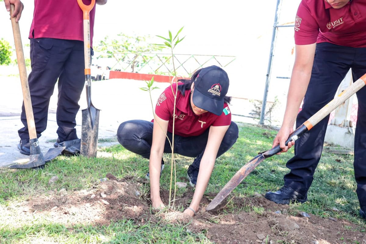 Se suman jóvenes tamaulipecos a las jornadas nacionales por la paz con reforestación en Ciudad Victoria