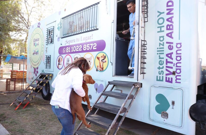 Invita gobierno municipal a campaña gratuita de esterilización de perros y gatos callejeros o rescatados