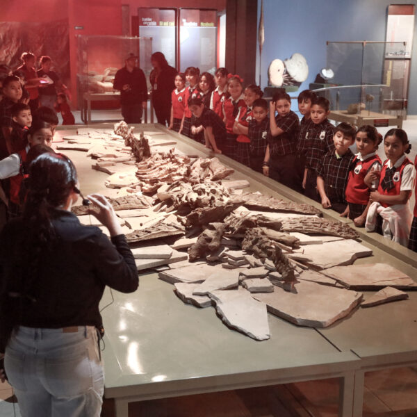 Invita la Dirección de Arte y Cultura a…