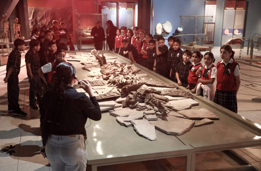 Invita la Dirección de Arte y Cultura a disfrutar de los museos durante vacaciones