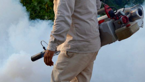 Intensifican revisiones sanitarias por casos de dengue en más de 12 mil negocios en el sur del estado