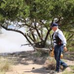 Se suma Tamaulipas a la segunda Jornada Nacional de Lucha Contra el Dengue y otras Arbovirosis