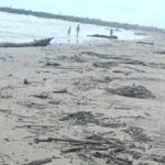 Palizada del Pánuco recibe a los visitantes este día de asueto en playa Miramar