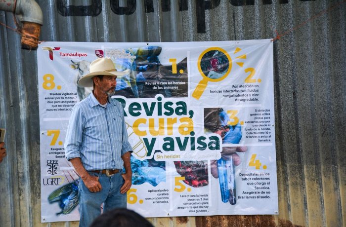 Productores tamaulipecos se suman a la prevención del gusano barrenador