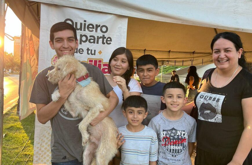 Invitan a la ciudadanía a la feria de adopción canina y felina frente a la catedral