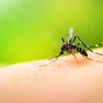 Registra Secretaría de Salud de Tamaulipas 15 muertes por dengue e influenza