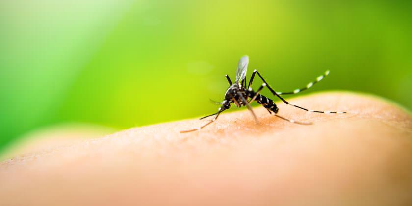 Registra Secretaría de Salud de Tamaulipas 15 muertes por dengue e influenza