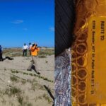 Investigan posible vínculo entre lanzamientos de SpaceX y muerte de fauna marina en Playa Bagdad
