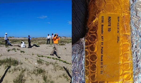Investigan posible vínculo entre lanzamientos de SpaceX y muerte de fauna marina en Playa Bagdad