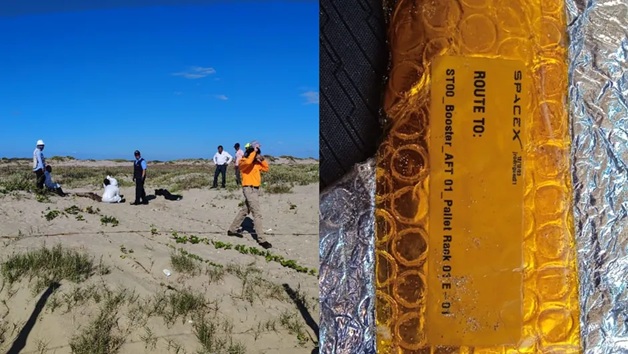 Investigan posible vínculo entre lanzamientos de SpaceX y muerte de fauna marina en Playa Bagdad