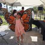 Invita gobierno municipal a redescubrir la ruta de las mariposas monarcas