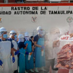 Producirá rastro TIF de la UAT carne para el mercado de más de 60 países