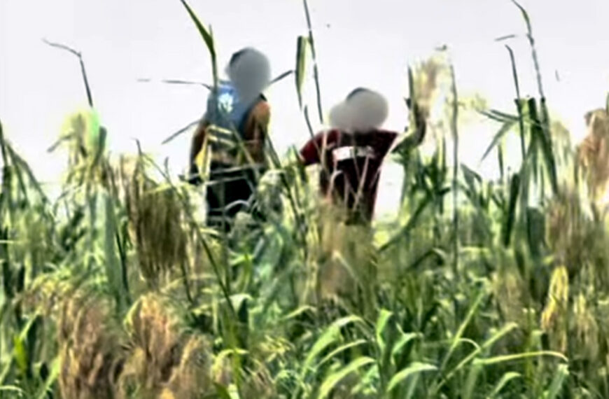 Dos personas migrantes caminan entre la hierba alta a la orilla del río Bravo, mientras un niño pequeño permanece solo en la ribera del lado estadounidense.
