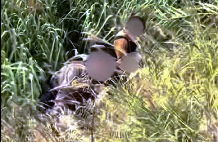 Los agentes de la Border Patrol encontraron entre los carrizos a orillas del Bravo a el nio de dos aos