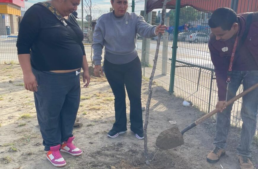 Reforestan plaza de colonia Los Olivos 2 como parte del programa Arboleando NLD