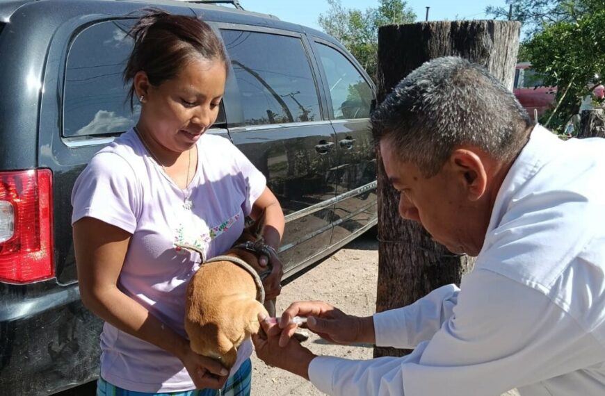 Vacunarán contra la rabia a 300,000 perros y gatos en Tamaulipas de enero a mayo