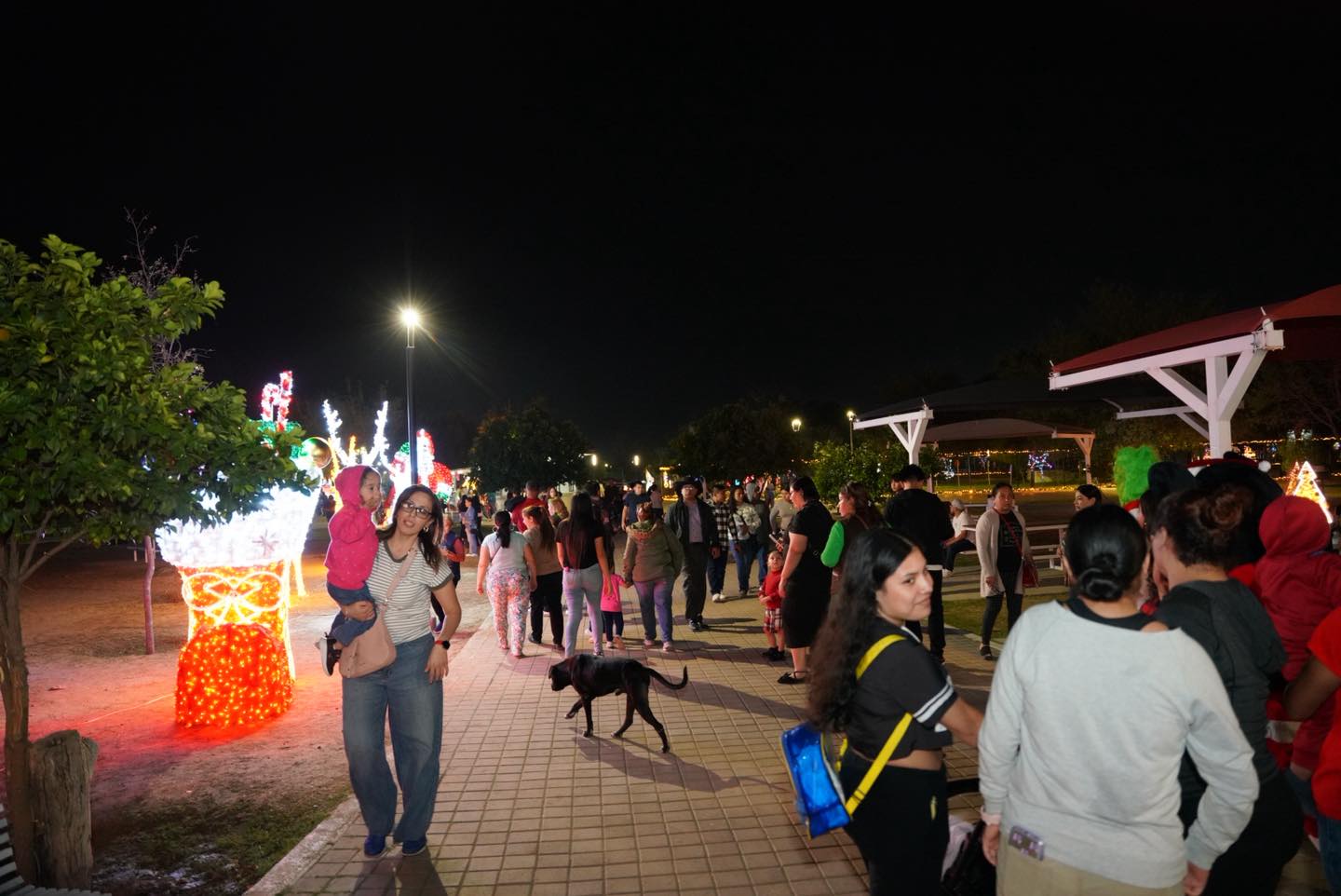 Visitantes recorren el Viveros Mgico de Nuevo Laredo durante la temporada navidea con alta afluencia de familias