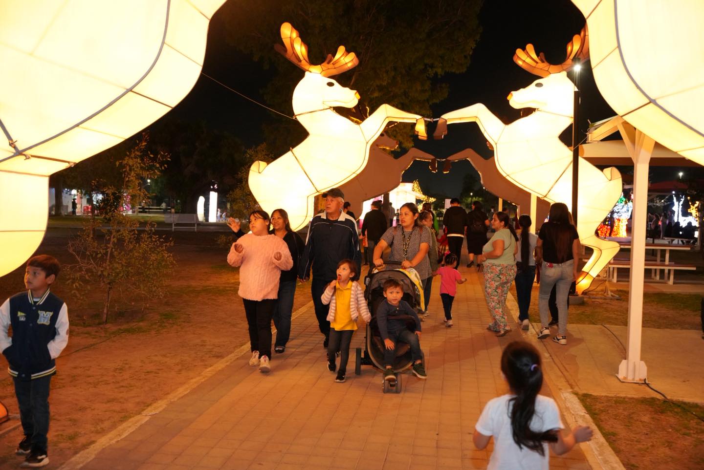 Familias caminan bajo arcos luminosos en el Viveros Mgico de Nuevo Laredo durante celebraciones navideas