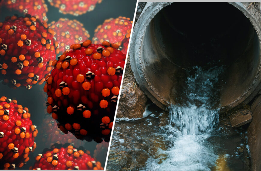 Representación del virus del sarampión junto a un drenaje, relacionada con la detección del virus en aguas residuales.