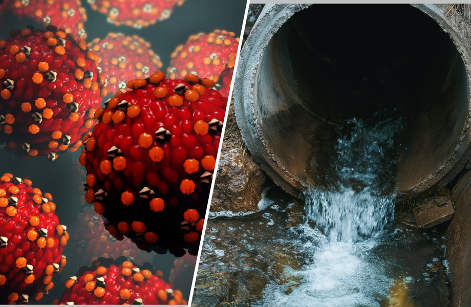 Representación del virus del sarampión junto a un drenaje, relacionada con la detección del virus en aguas residuales.