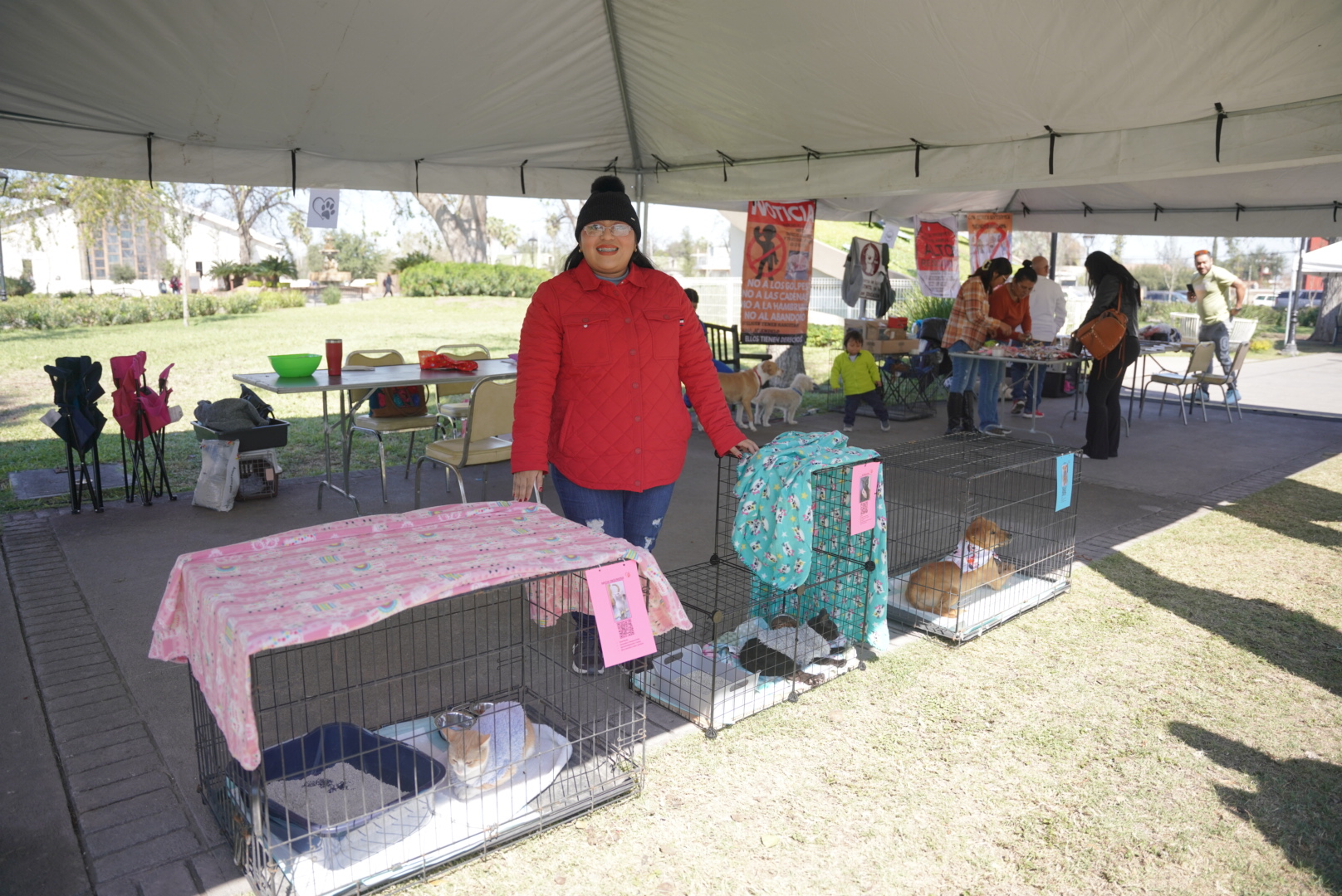 Feria de adopciones canina y felina en Nuevo Laredo con mascotas rescatadas listas para adopcin responsable