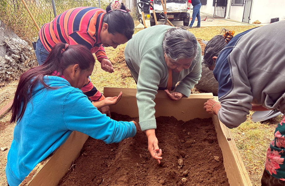 Mujeres del sector siembran semillas en cajones de cultivo como parte del programa de huertos urbanos en Nuevo Laredo.