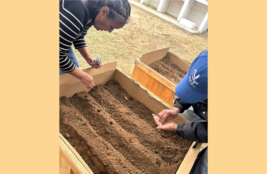 Participantes realizan la siembra manual de hortalizas en camas elevadas del huerto urbano comunitario