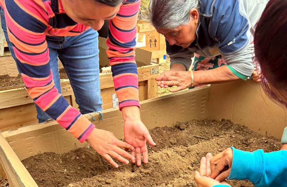 Detalle de manos sembrando semillas en el huerto urbano como parte del trabajo comunitario y ambiental