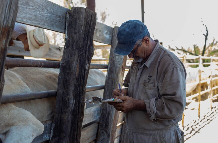 Gobierno de Nuevo Laredo invita a ganaderos a aprovechar programa gratuito de sanidad animal