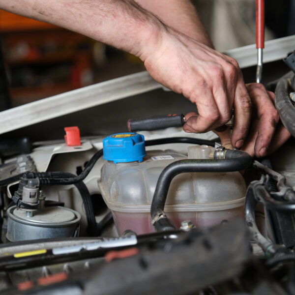 Intensifican acciones del programa de vacunación en los 12 Distritos de Salud de Tamaulipas