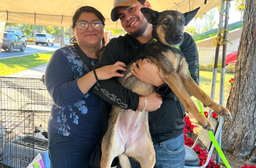 Gobierno municipal invita a Feria de Adopción Canina en plaza Zaragoza el domingo