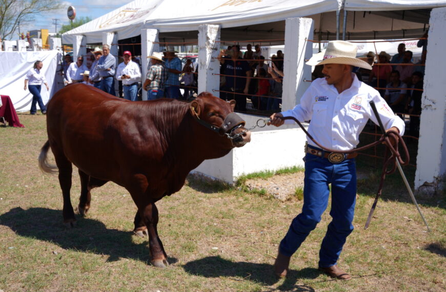Abre el gobierno municipal convocatoria para programa de mejoramiento ganadero