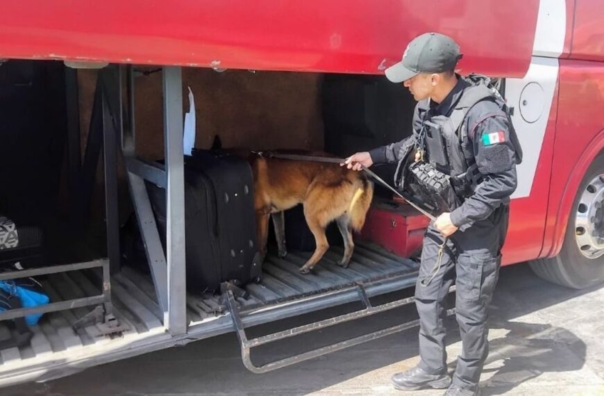 Guardia Estatal refuerza operativos en Centrales de Autobuses de Tamaulipas