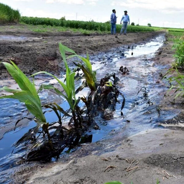 Derrames de hidrocarburos de Pemex contaminan zona rural del sur de Tamaulipas