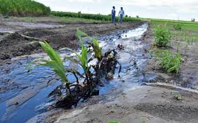 Derrames de hidrocarburos de Pemex contaminan zona rural del sur de Tamaulipas