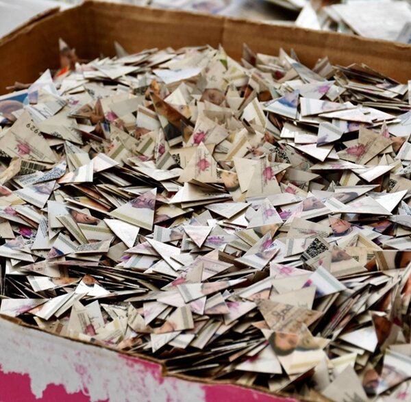 Destruye el INE más de 36,000 credenciales para votar en Tamaulipas